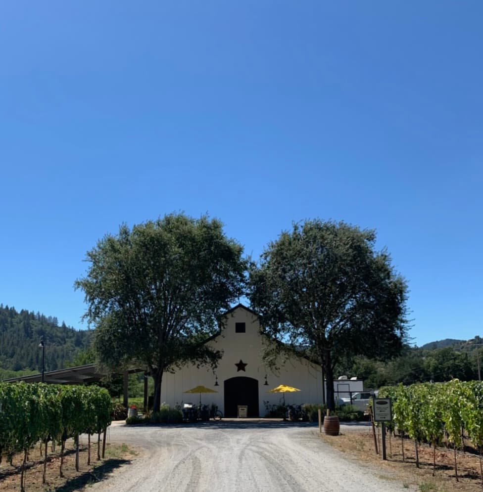 Photo: Missvain (CC BY 4.0) White barn tasting room with yellow umbrellas at the end of a gravel drive between vineyards at Amista